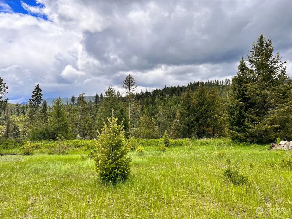 0 TBD Big Goosmus Crk Road Curlew, WA 99118