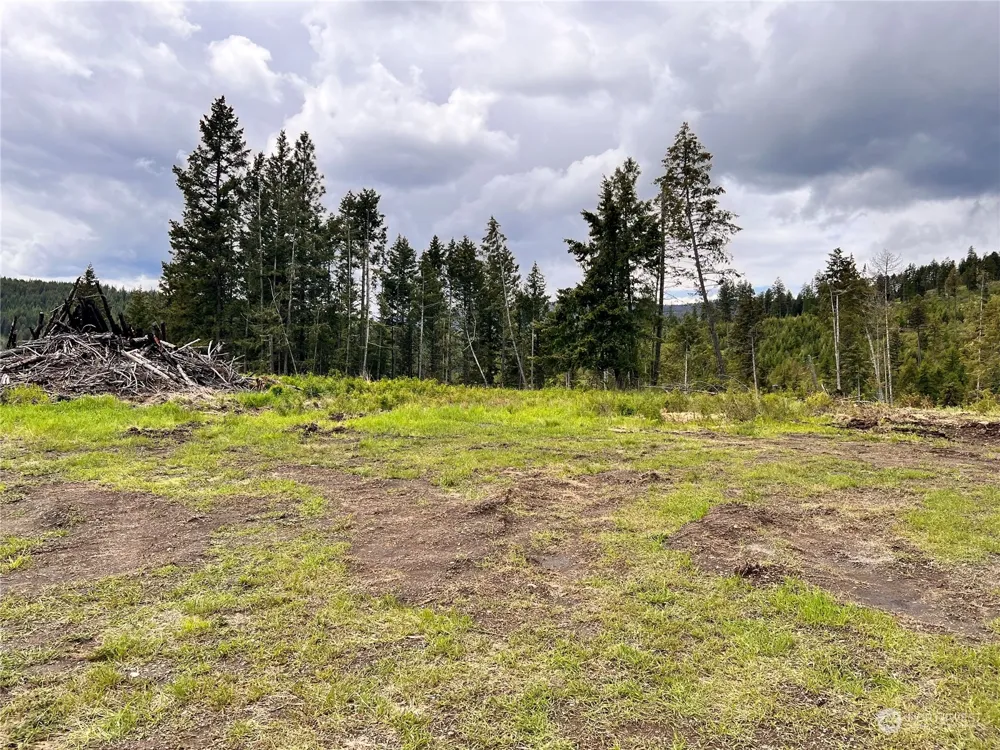 293 Big Goosmus Crk Road Curlew, WA 99118