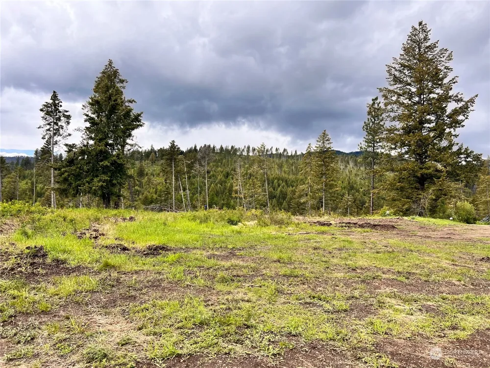 293 Big Goosmus Crk Road Curlew, WA 99118