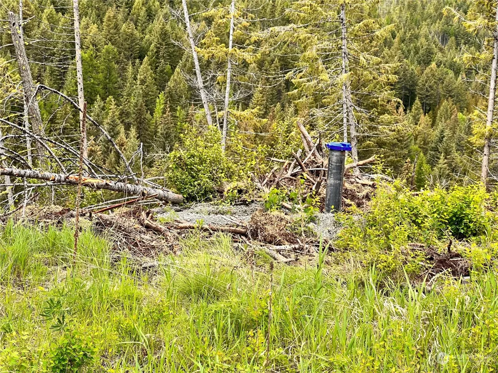 293 Big Goosmus Crk Road Curlew, WA 99118