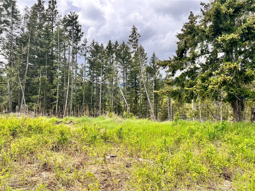 293 Big Goosmus Crk Road Curlew, WA 99118