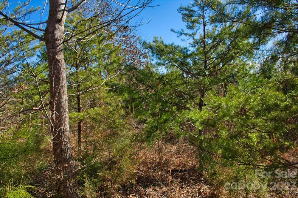 0 Whitestone Circle #81 Union Mills, NC 28167