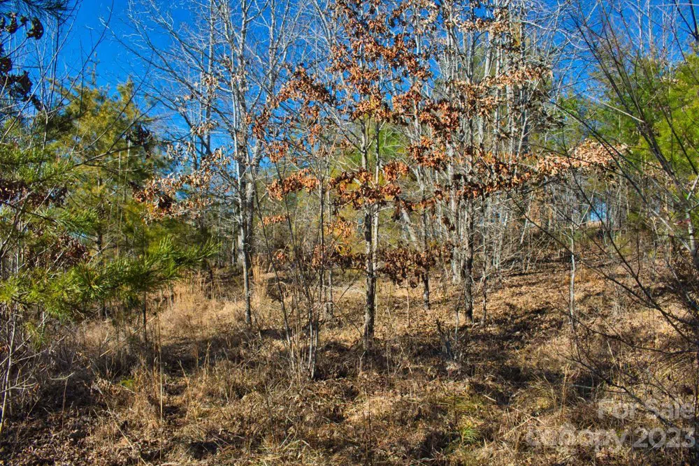 0 Whitestone Circle #81 Union Mills, NC 28167