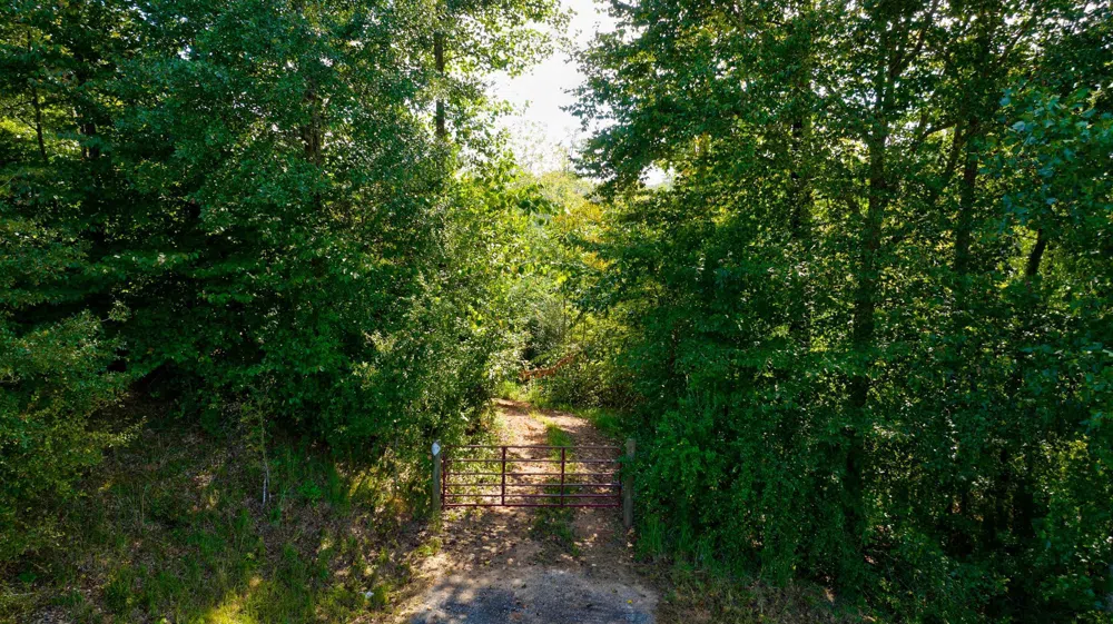 0 Mccoy Bridge RD RD. Homer, GA 30547