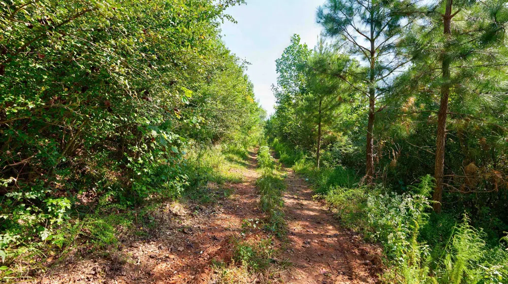 0 Mccoy Bridge RD RD. Homer, GA 30547