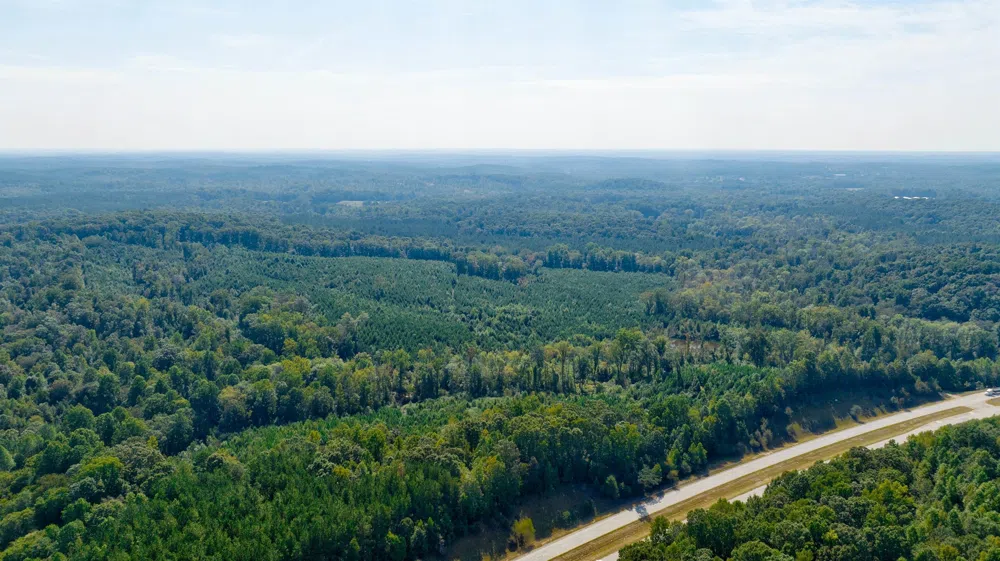 0 Mccoy Bridge RD RD. Homer, GA 30547