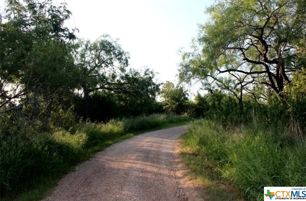 6 Wisteria Lane Smiley, TX 78159
