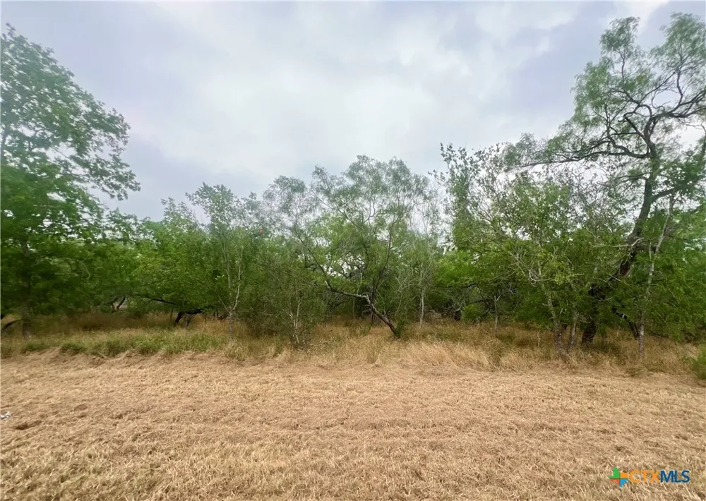 3 Wisteria Lane Smiley, TX 78159