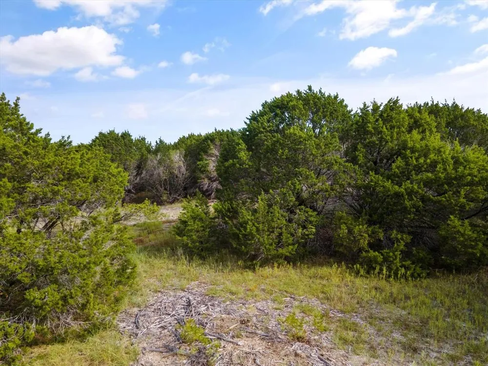 1005 County Rd 407a Nemo, TX 76070