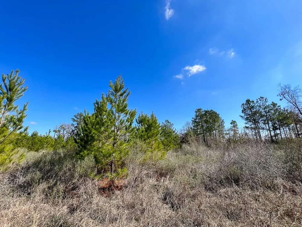 Wallace Road Huntsville, TX 77320