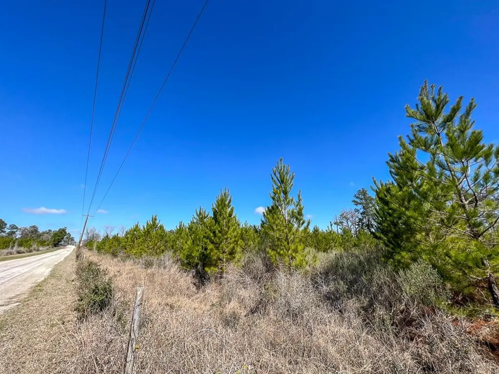 Wallace Road Huntsville, TX 77320