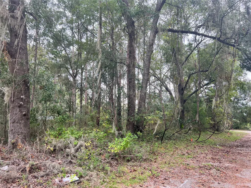 00 NW 187TH ROAD High Springs, FL 32643