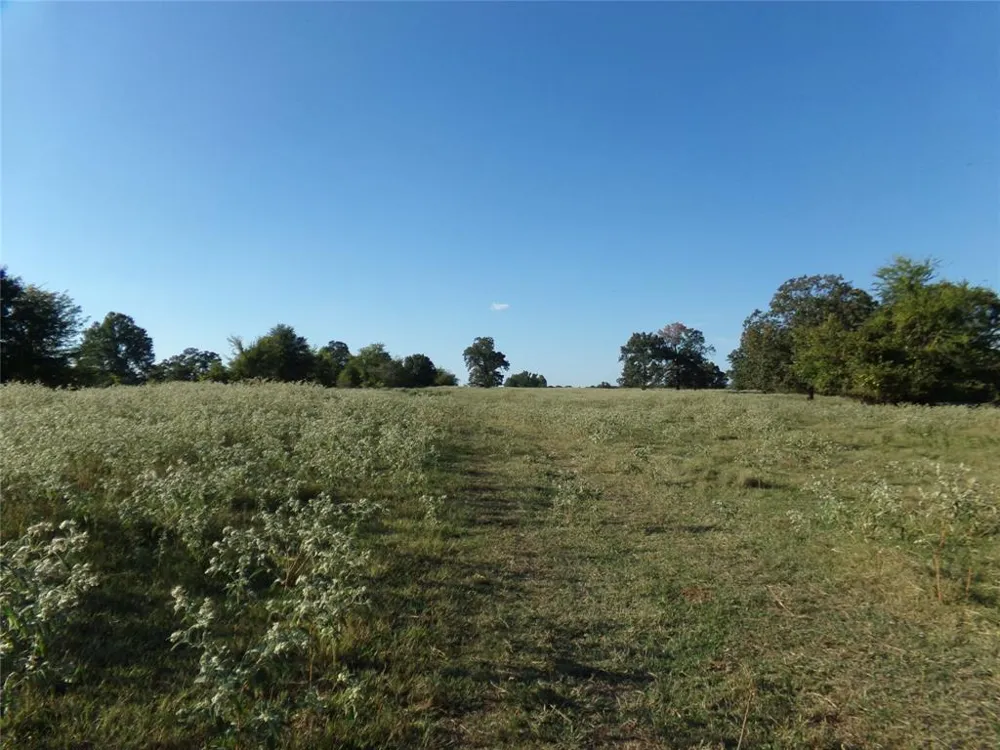 1753 FM 194 Blossom, TX 75416