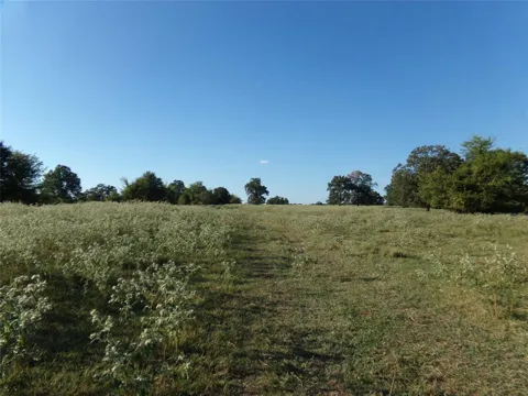 1753 FM 194