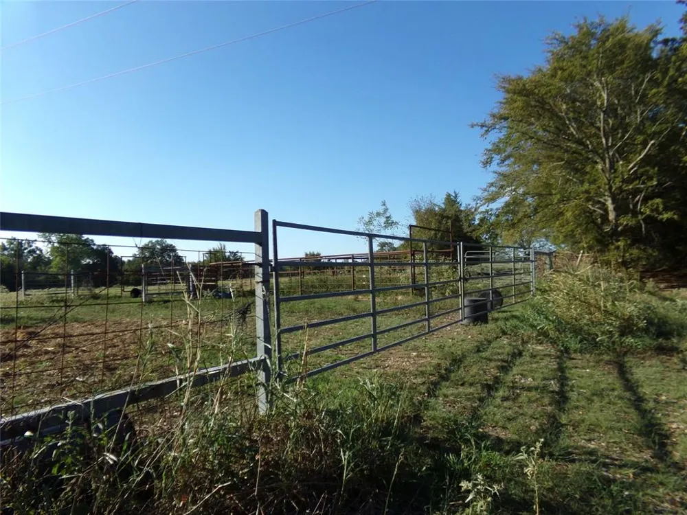 1753 FM 194 Blossom, TX 75416
