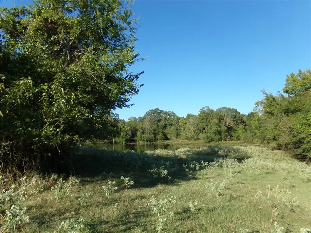 1753 FM 194 Blossom, TX 75416