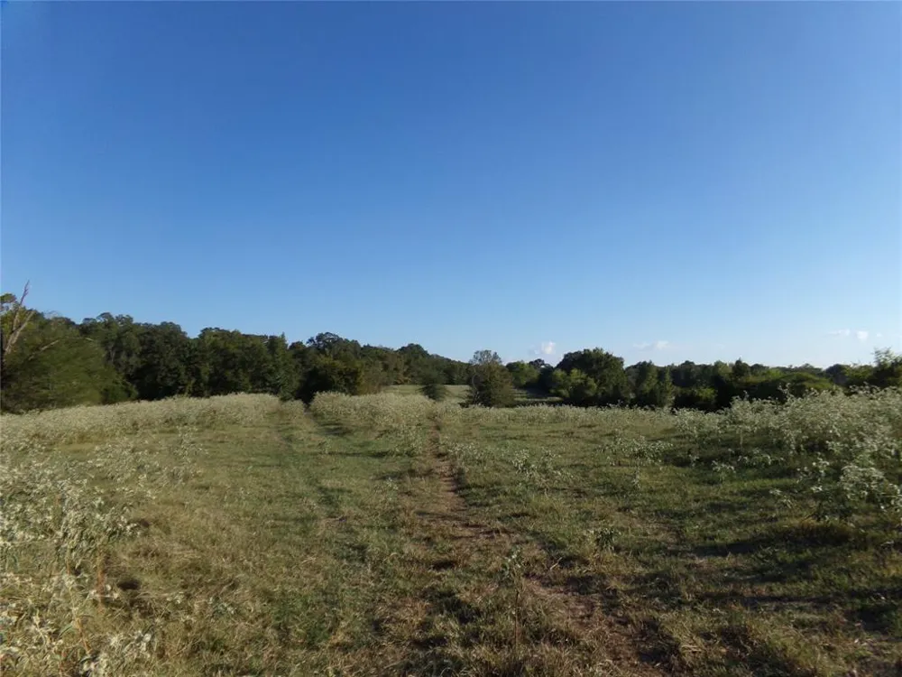 1753 FM 194 Blossom, TX 75416