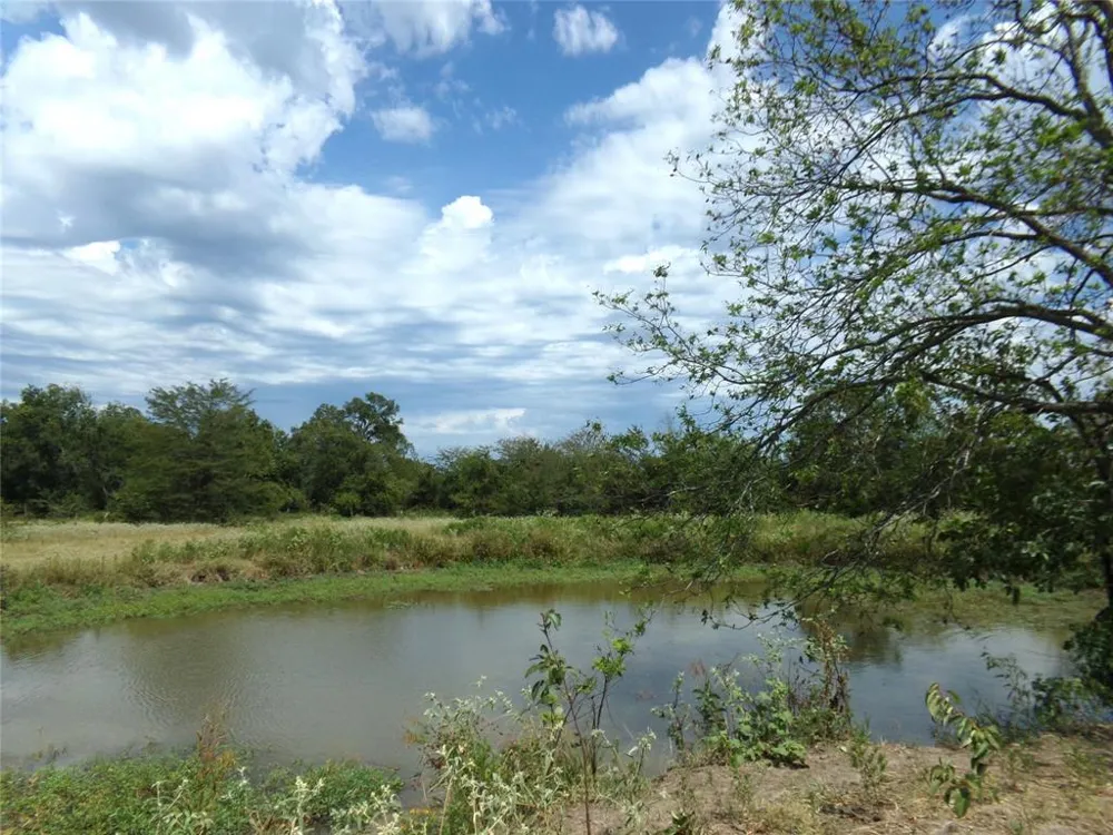 1753 FM 194 Blossom, TX 75416