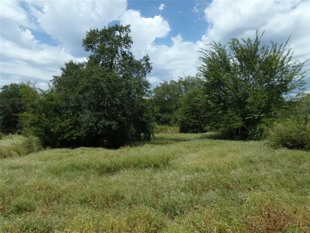 1753 FM 194 Blossom, TX 75416