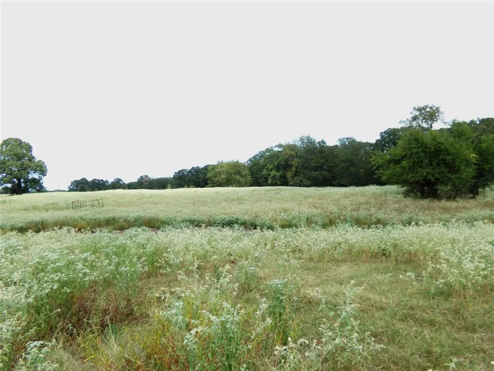 1753 FM 194 Blossom, TX 75416