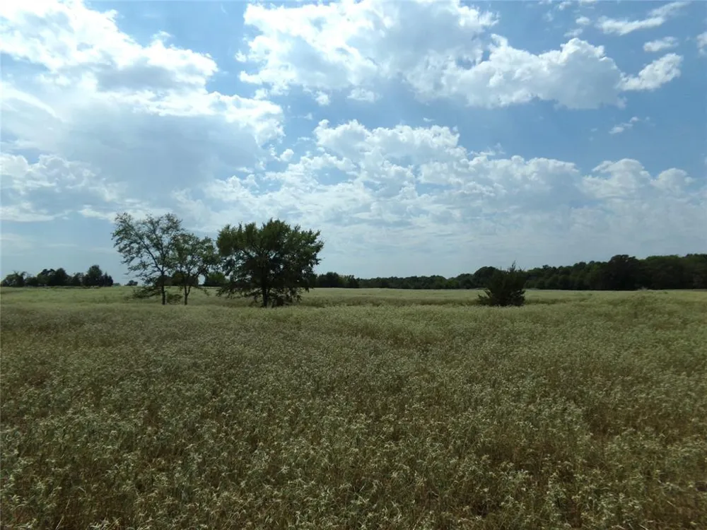 1753 FM 194 Blossom, TX 75416