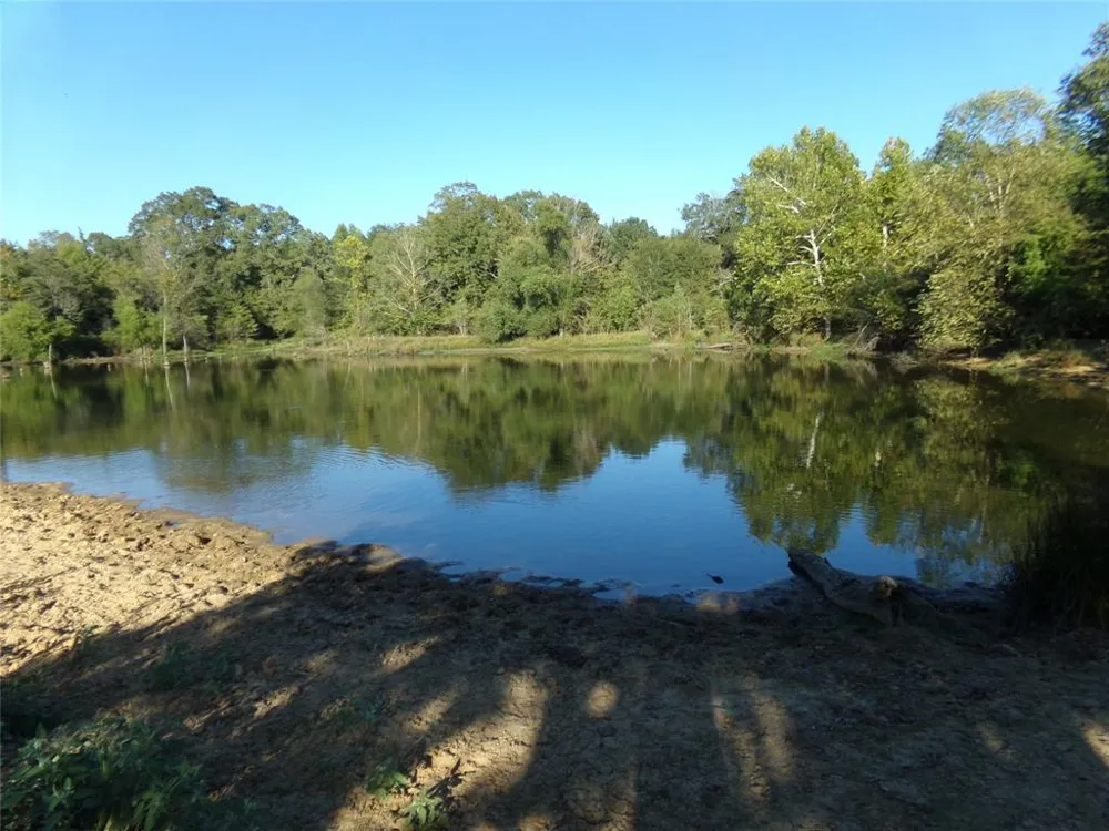 1753 FM 194 Blossom, TX 75416