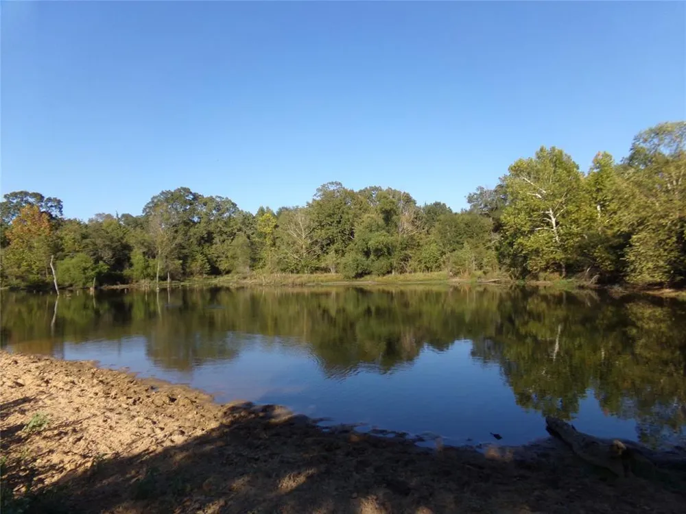 1753 FM 194 Blossom, TX 75416