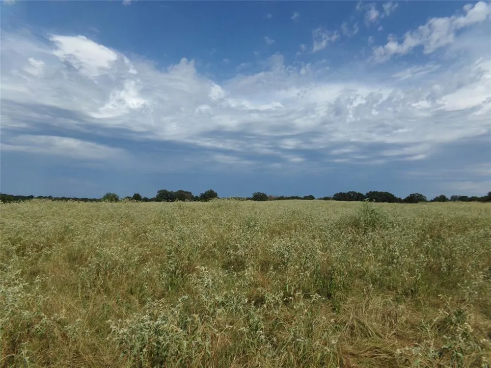 1753 FM 194 Blossom, TX 75416