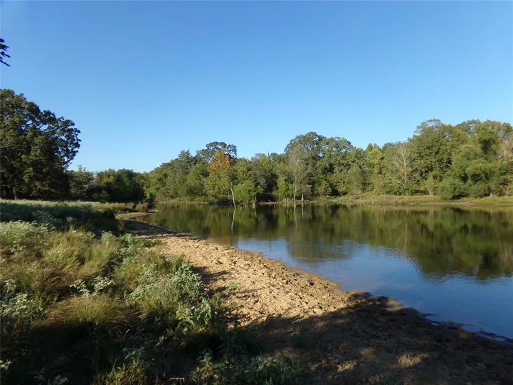 1753 FM 194 Blossom, TX 75416