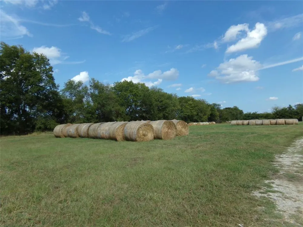 1753 FM 194 Blossom, TX 75416