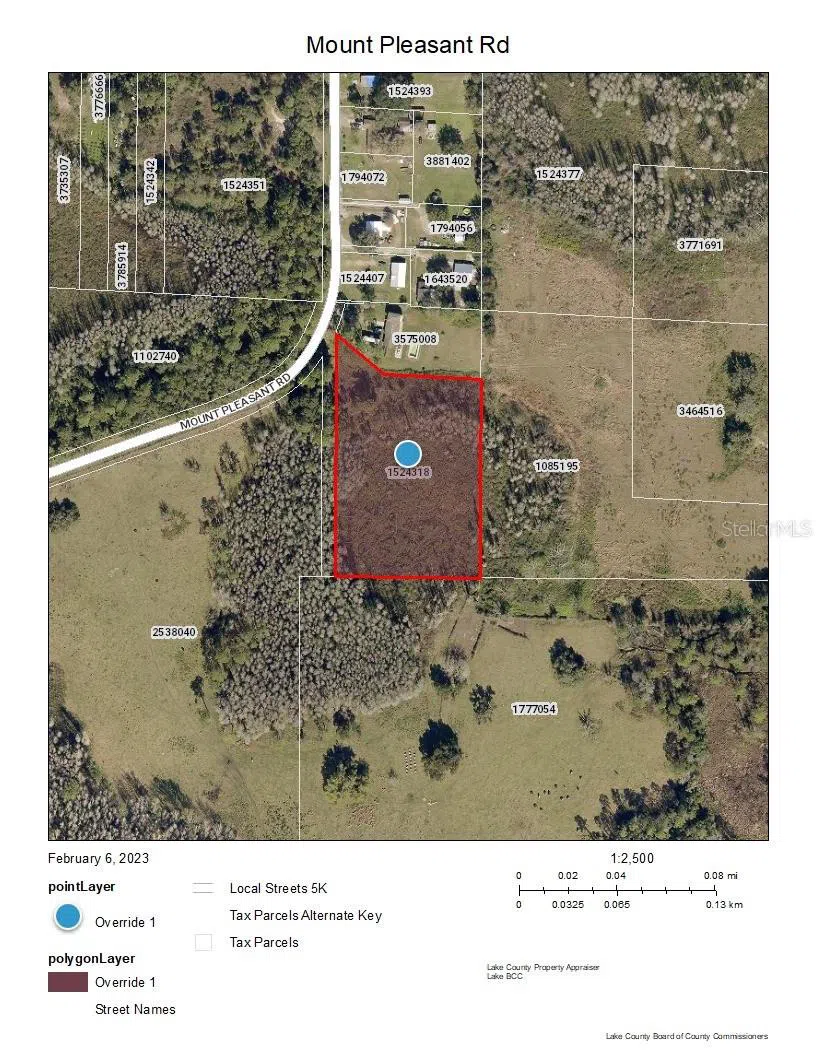 MOUNT PLEASANT ROAD Groveland, FL 34736