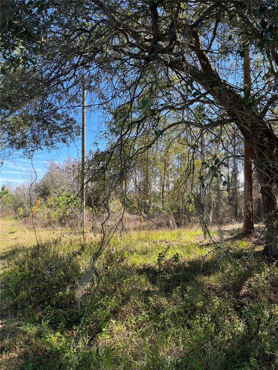 MOUNT PLEASANT ROAD Groveland, FL 34736