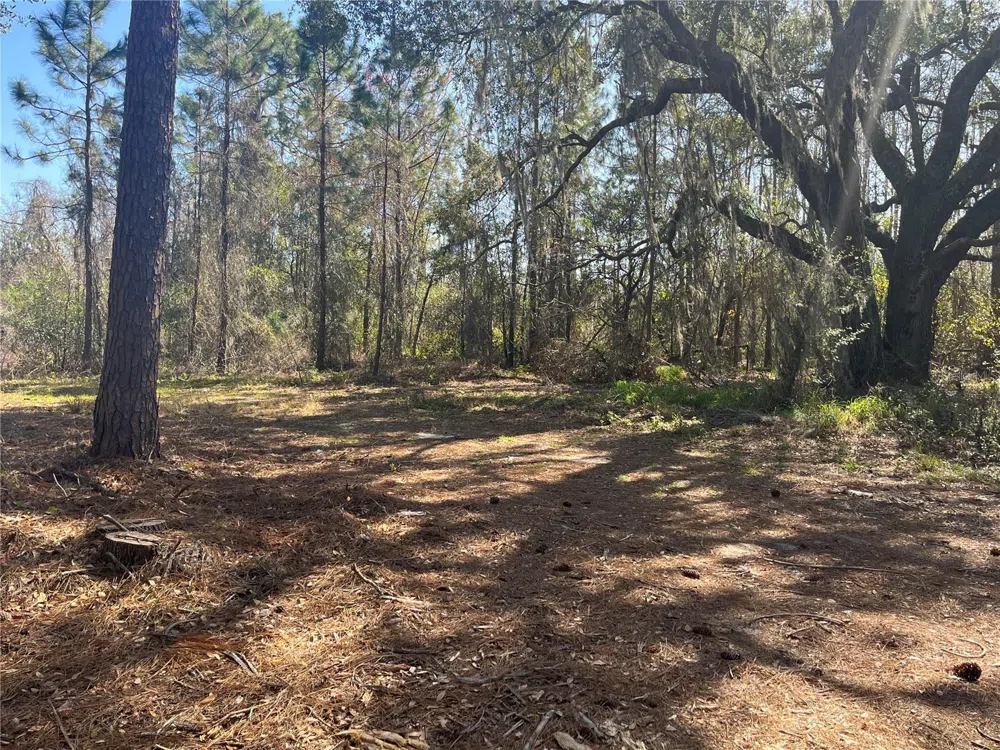 MOUNT PLEASANT ROAD Groveland, FL 34736