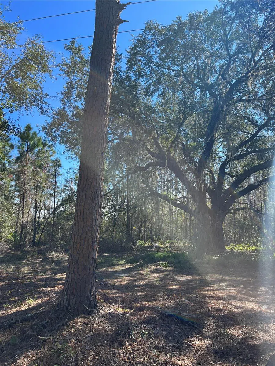 MOUNT PLEASANT ROAD Groveland, FL 34736