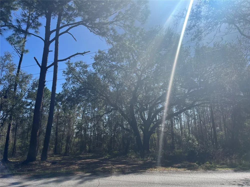 MOUNT PLEASANT ROAD Groveland, FL 34736
