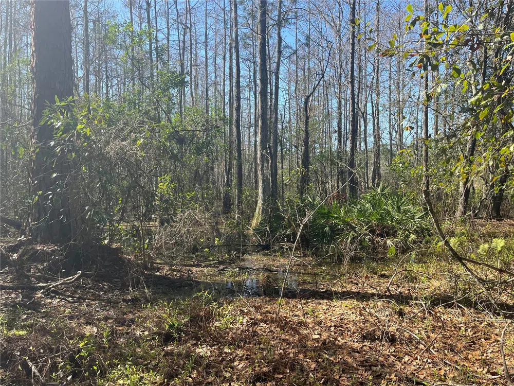 MOUNT PLEASANT ROAD Groveland, FL 34736