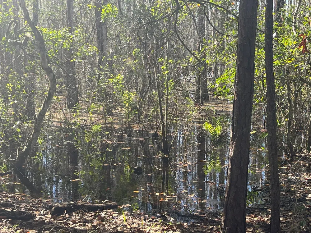 MOUNT PLEASANT ROAD Groveland, FL 34736