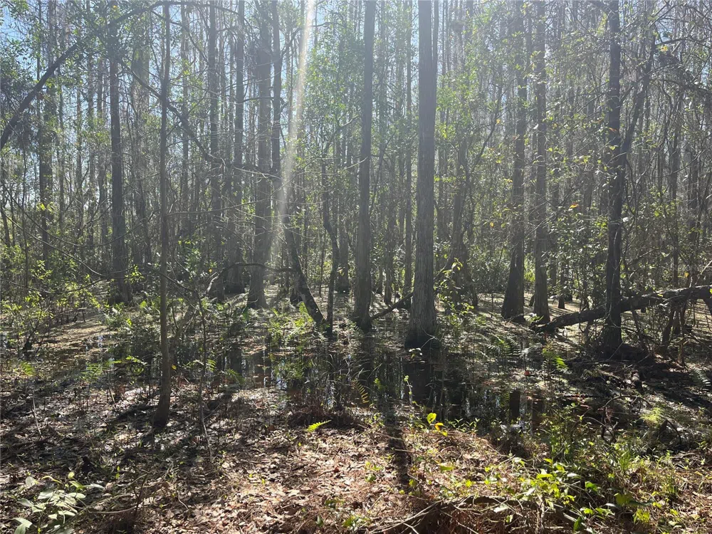 MOUNT PLEASANT ROAD Groveland, FL 34736