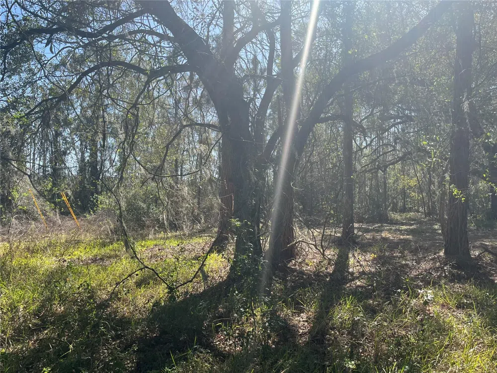 MOUNT PLEASANT ROAD Groveland, FL 34736
