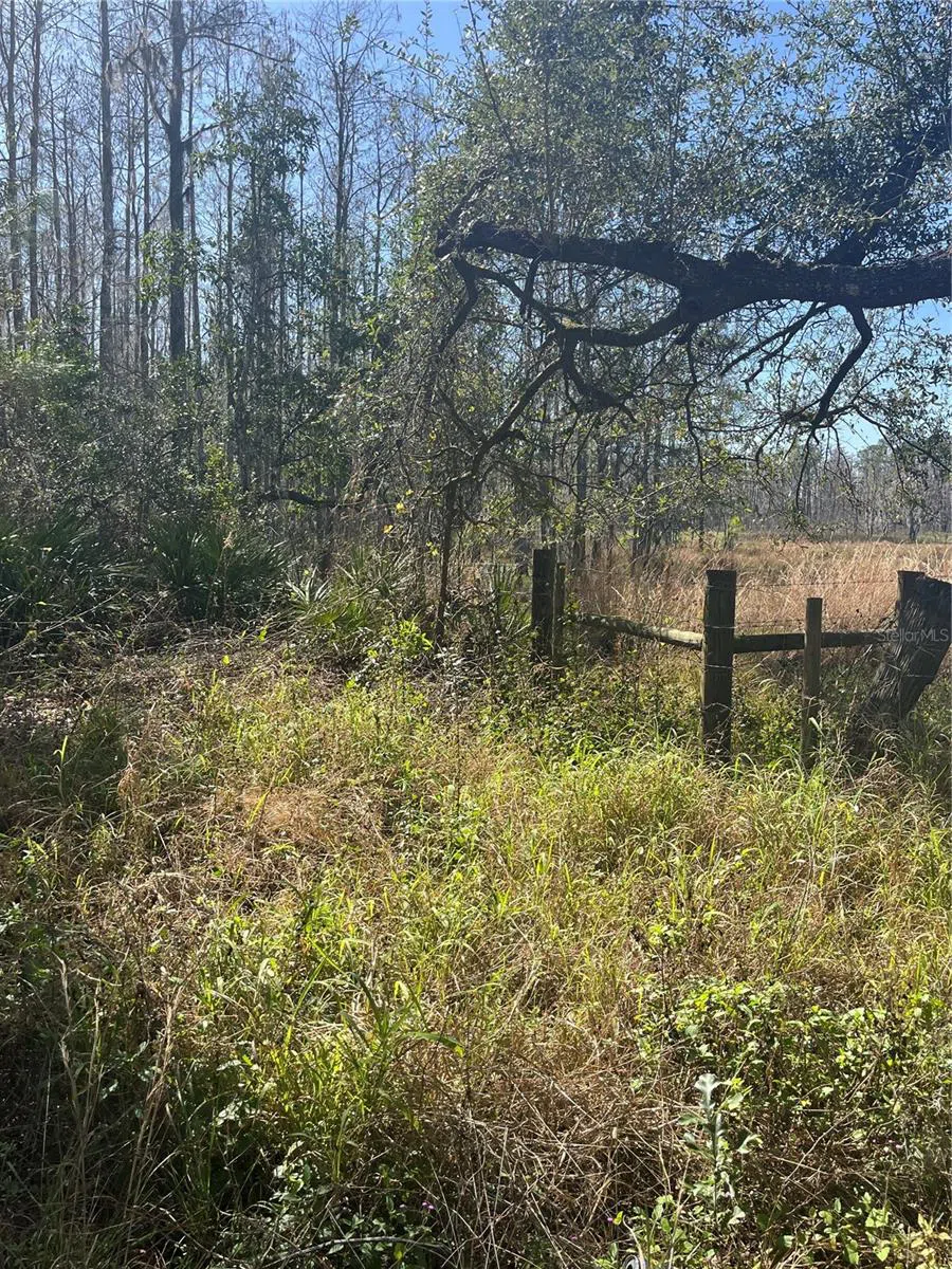 MOUNT PLEASANT ROAD Groveland, FL 34736