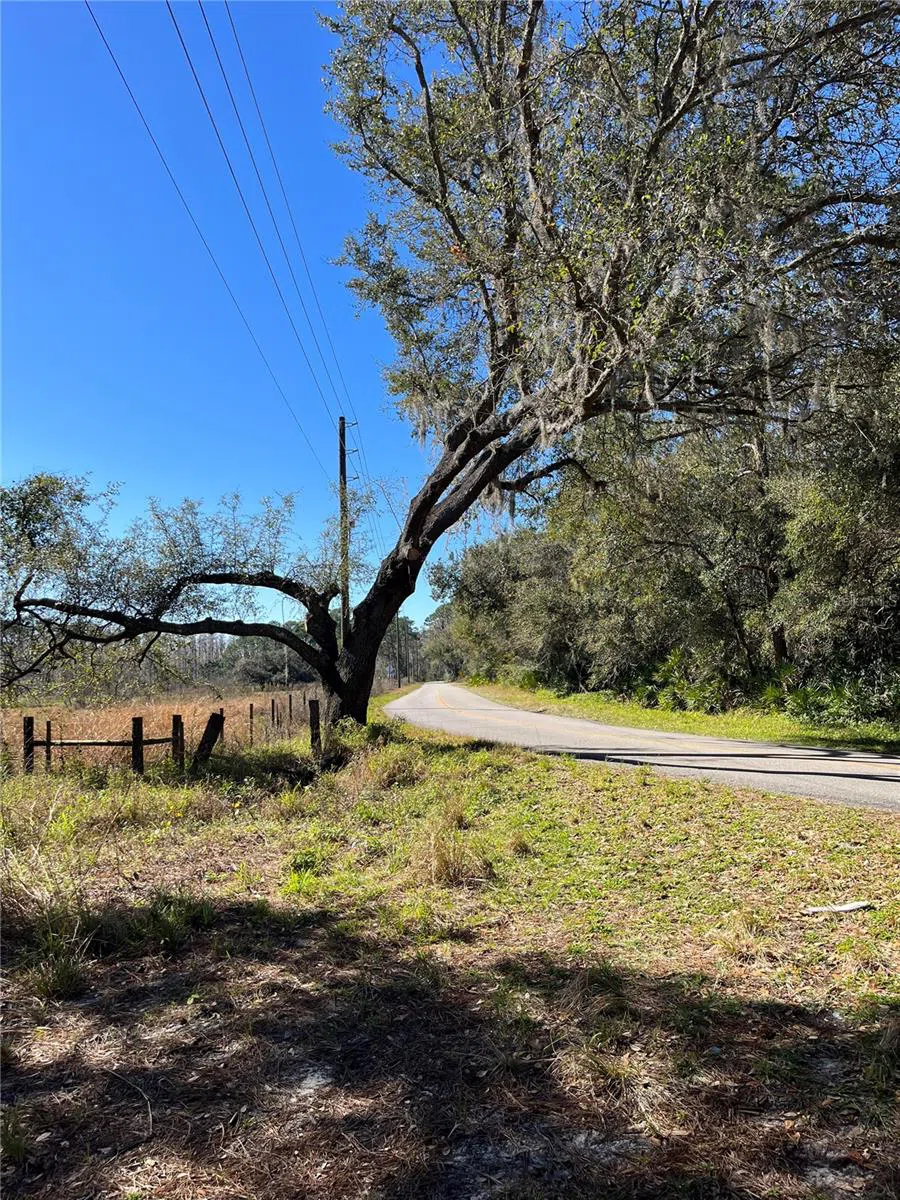 MOUNT PLEASANT ROAD Groveland, FL 34736