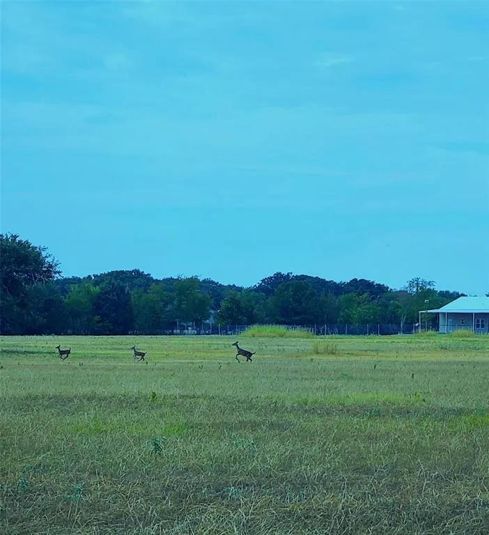 CR 4048 Kemp, TX 75143