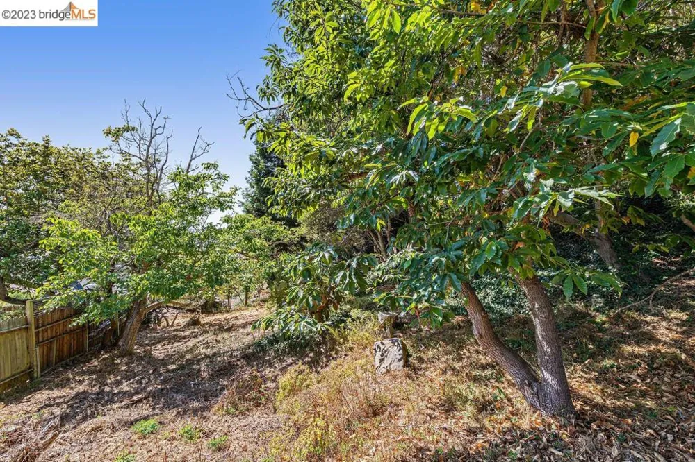 614 Cragmont Ave Berkeley, CA 94708