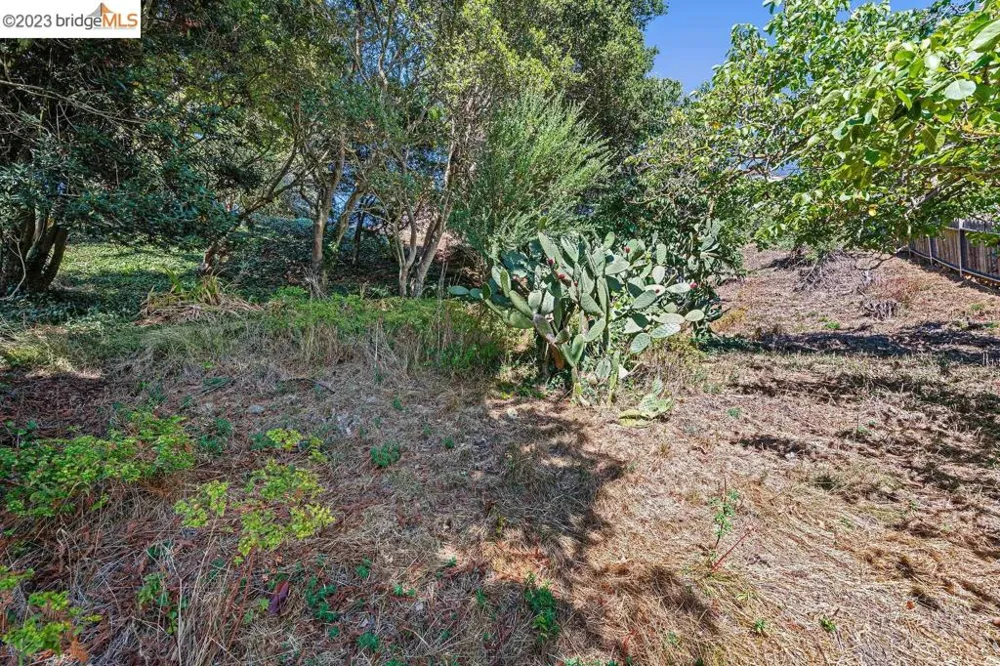 614 Cragmont Ave Berkeley, CA 94708