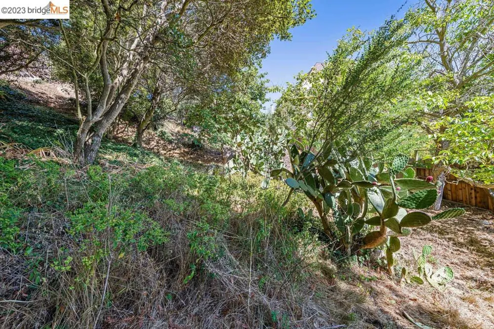 614 Cragmont Ave Berkeley, CA 94708