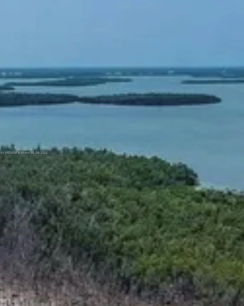 2044 Dogwoods Marco Island, FL 34145