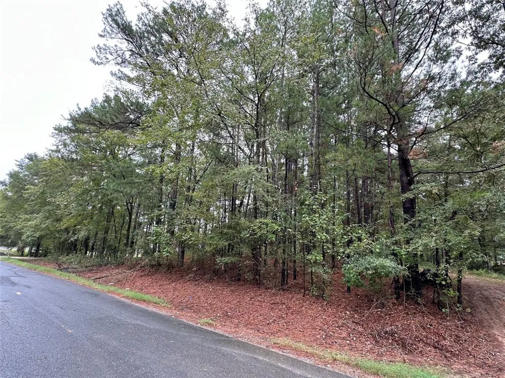 Downs Drive Benton, LA 71006