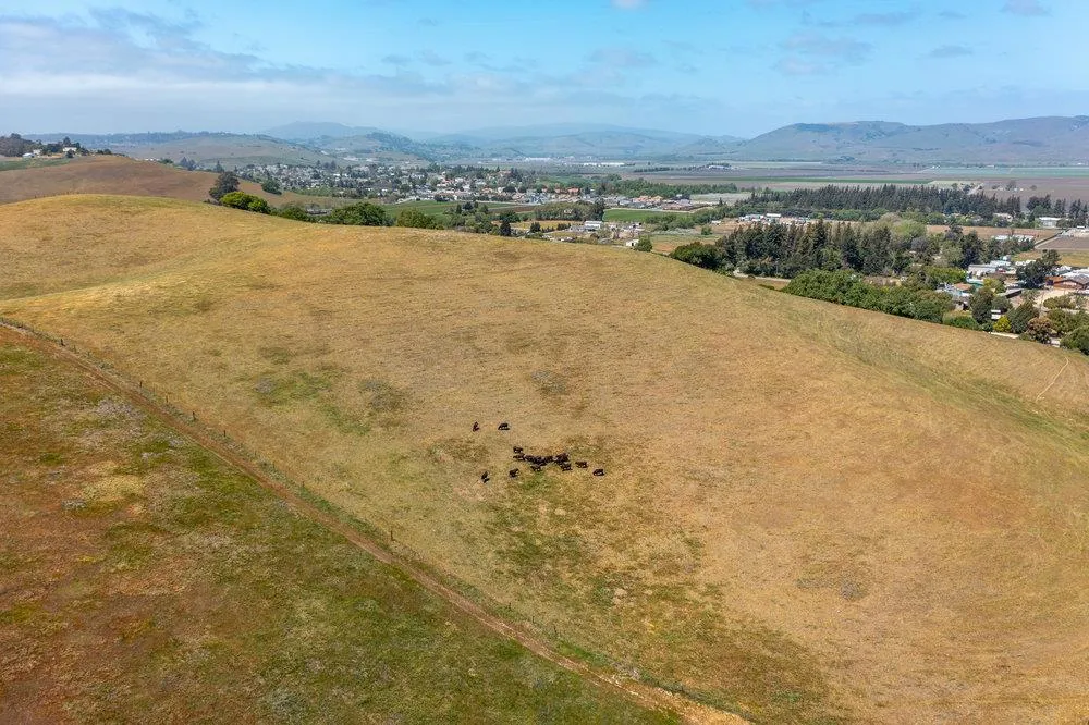 333 Mission Vineyard Road San Juan Bautista, CA 95045