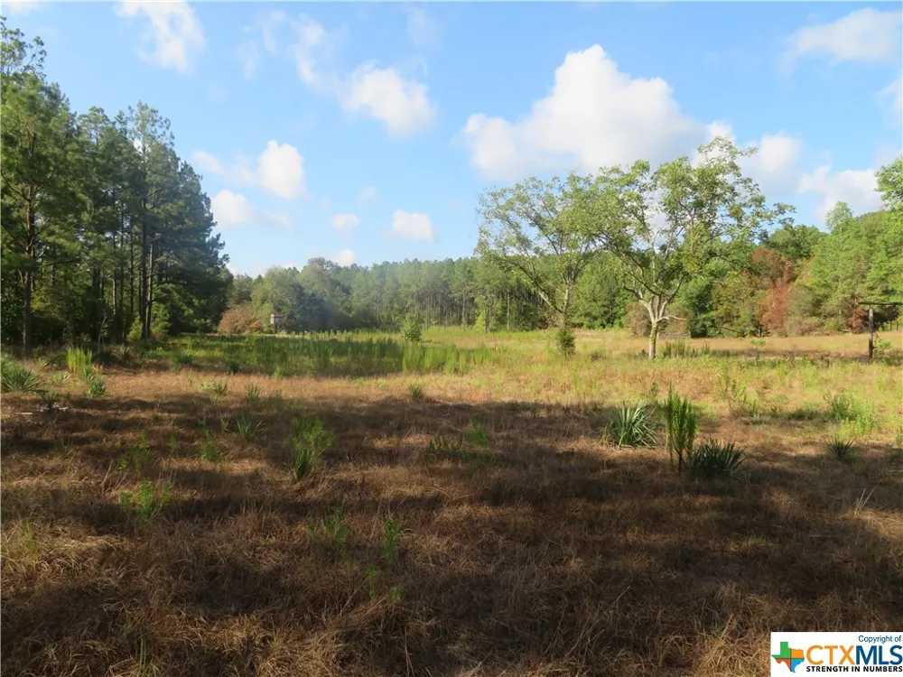 999 CO RD 1101 Newton, TX 75977