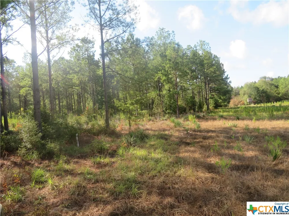 999 CO RD 1101 Newton, TX 75977
